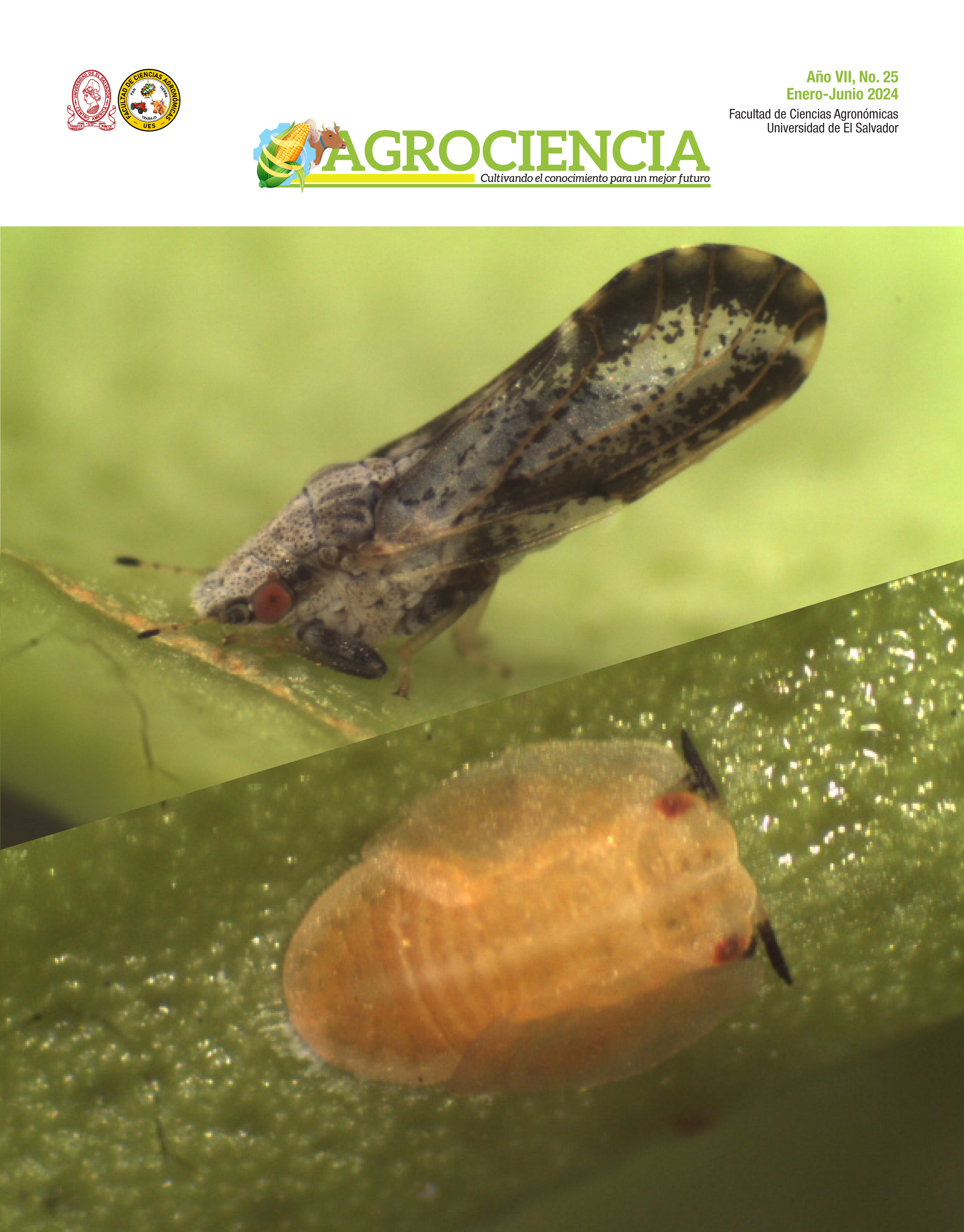 					Ver Vol. 7 Núm. 25 (2024): Revista Agrociencia | Enero - Junio 2024
				